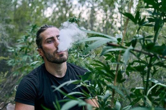 2026 Ultimate Guide to trực tiếp đá gà Events, Trends and cigarette shaped vape Safety Tips